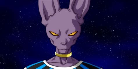 beerus age|how old is beerus king.